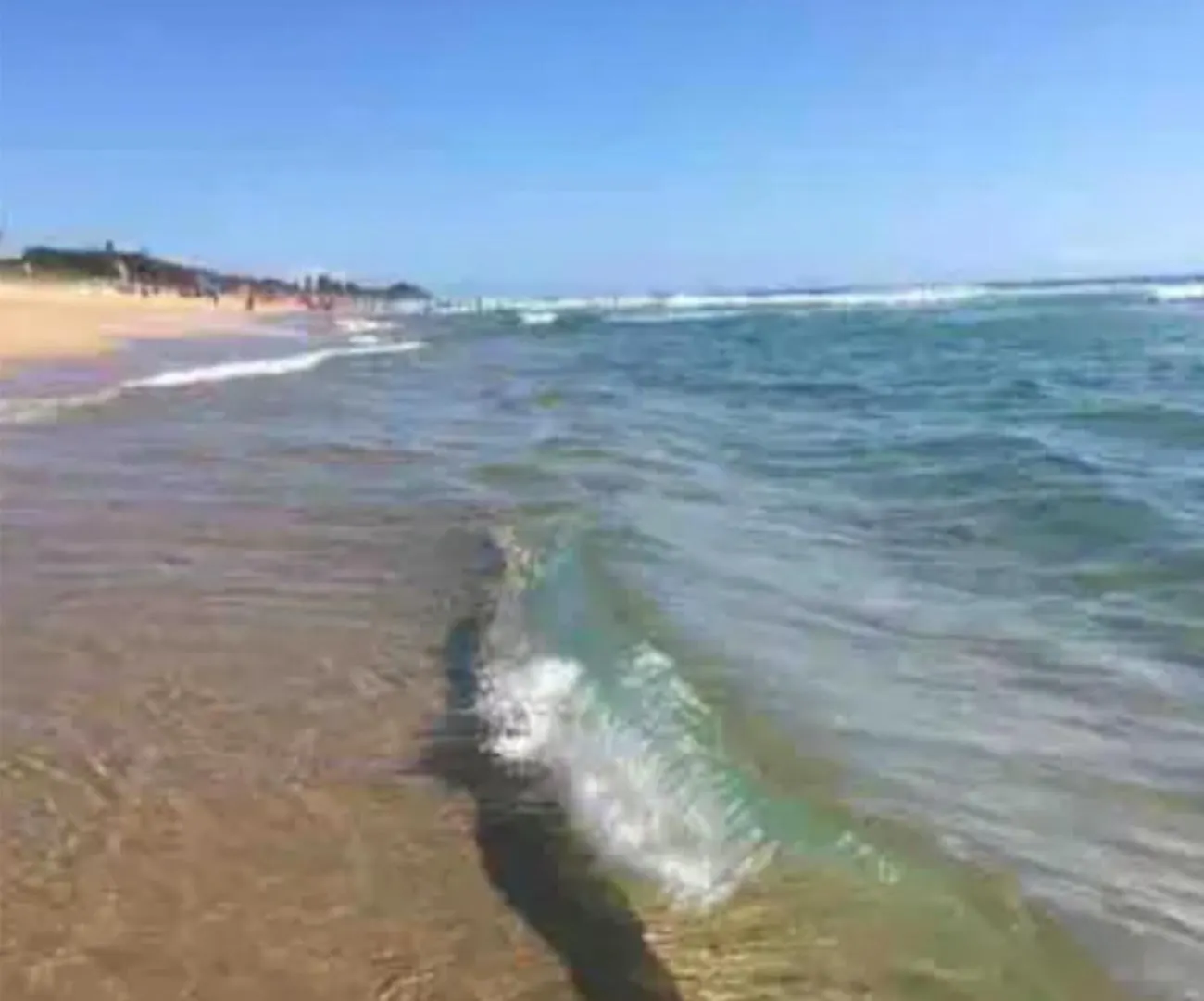 New Beach Luxury 3B 2B Unit - Ocean Views - 250M 2 Buddina Beach!